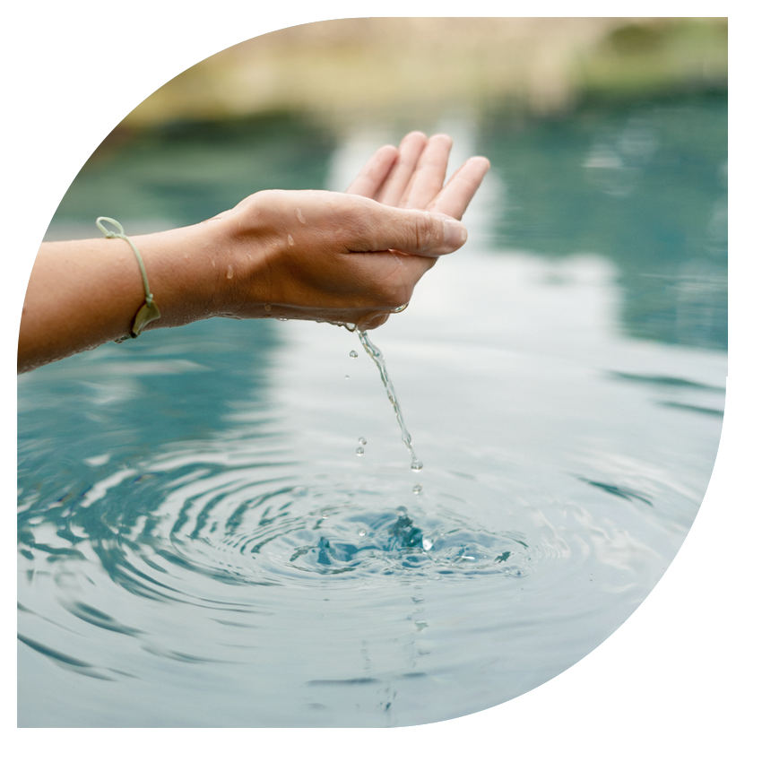 Naturpool mit Fertigbecken bauen lassen